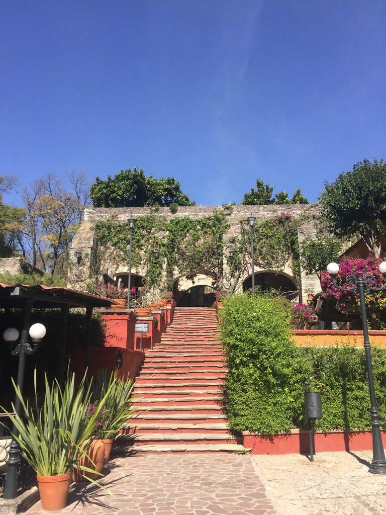 ex-hacienda_san gabriel de barrera_gardens_pavilion_steps_stone