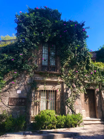 hacienda_san miguel_mexico_architecture_greenery_wooden_windows