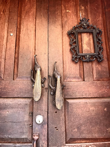 peacock_doorknocker_door_san miguel_mexico
