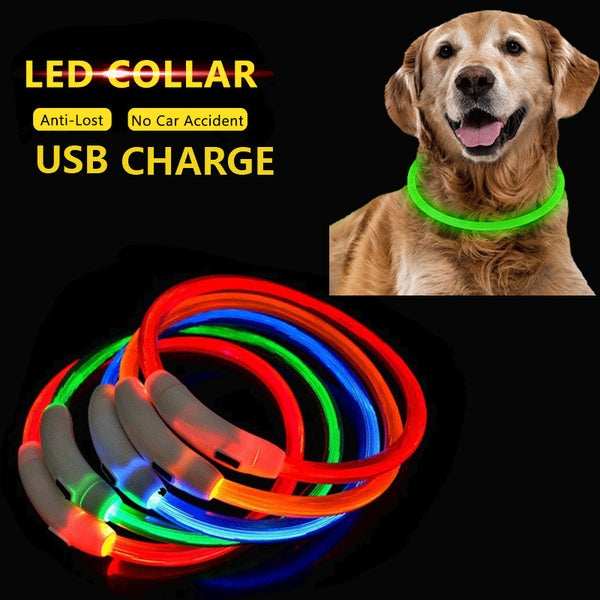 

Glowing LED Dog Collar, USB Rechargeable (70 cm / white)