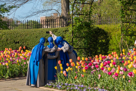 Nuns in sky-blue habits taking a group selfie, 2020, by Barbara Alper