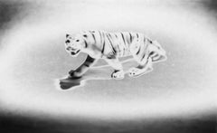 'Tiger, II', 2019 by Deanna Pizzitelli