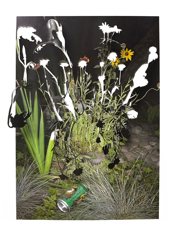 Sarah Anne Johnson, Drooping Flowers and Beer, 2016 © Sarah Anne Johnson / Stephen Bulger Gallery | FFOTO