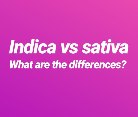 <h1>Indica vs Sativa what are the differences.