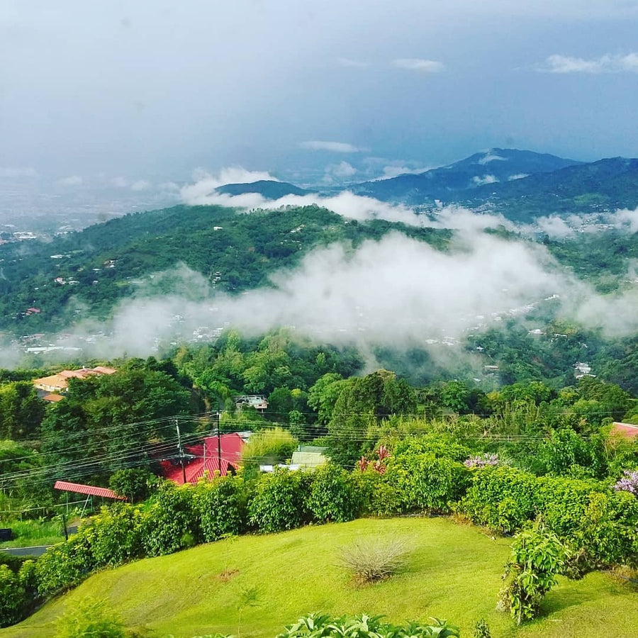The view at Finca Don Pepe, San José, Western Valley, Costa Rica | Hasbean.co.uk