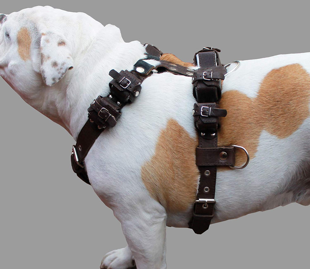 10 Lbs Brown Leather Weighted Pulling Dog Harness for Exercise | Bark