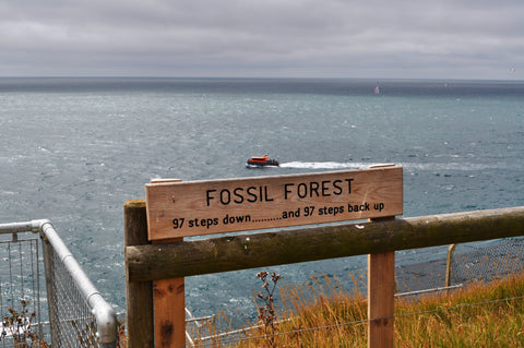Fossil Forest Sign