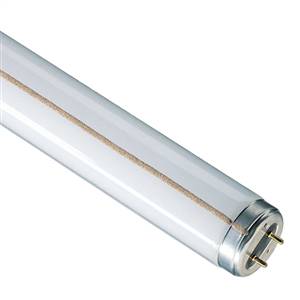 rapid start fluorescent lamp