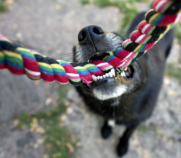 Challenge in Tug of War