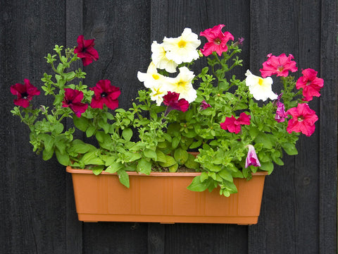 rectangular planters