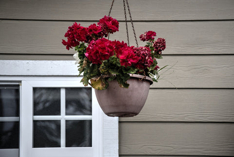 hanging flower pot