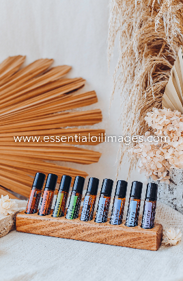 BUNDLE 4 - The ENTIRE BOHO Collection (18 x Kit Images)