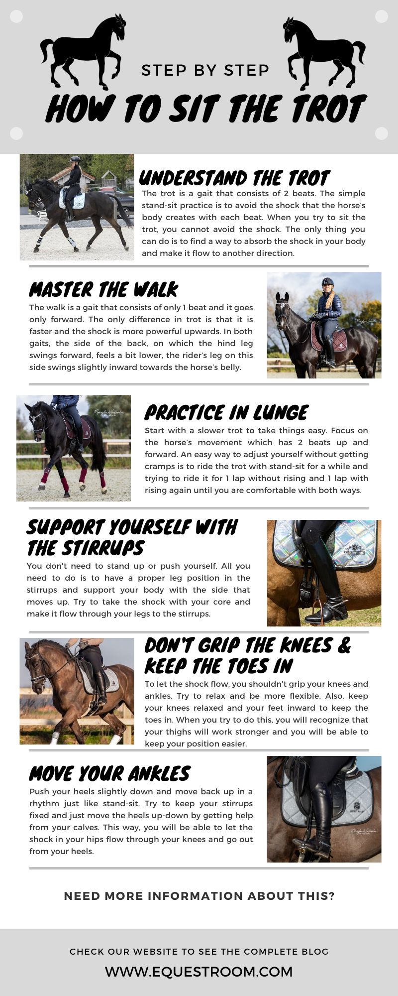 How To Sit the Trot by Equestroom Infographics
