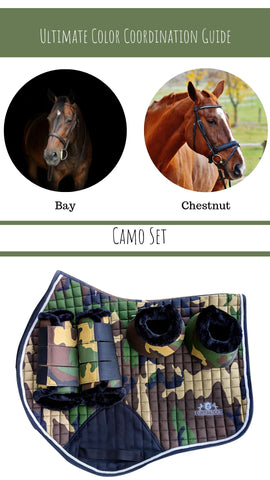 Equestrian Color Coordination Guide