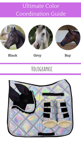 Equestrian Color Coordination Guide