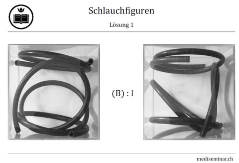 NC_Lernkarten_Schlauchfiguren_Loesung