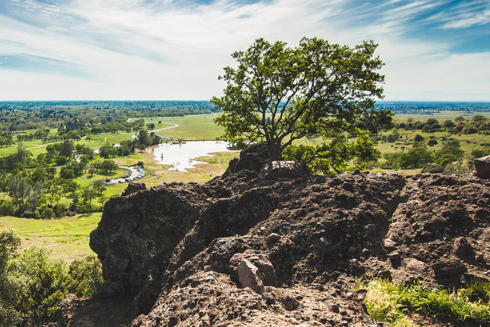 Day Hike Monkey Face Rock Bidwell Park