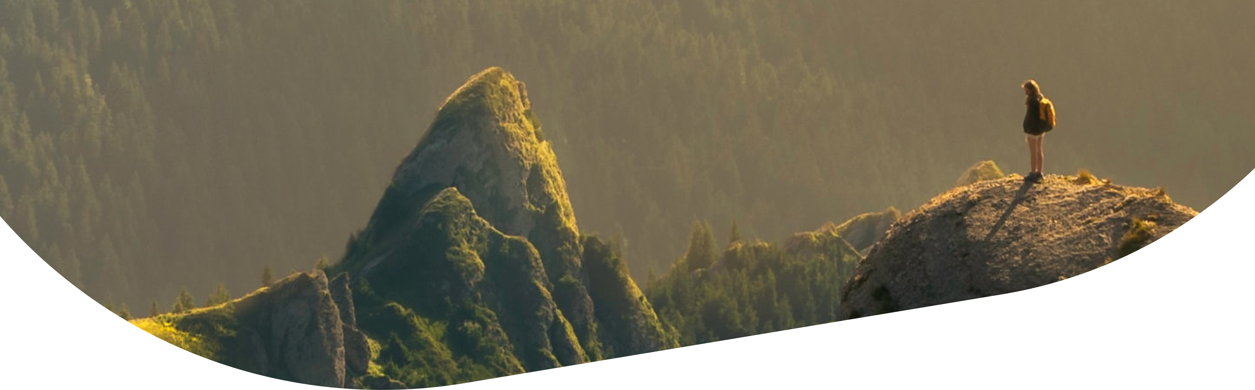 track order banner