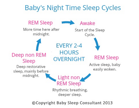 night sleep cycle