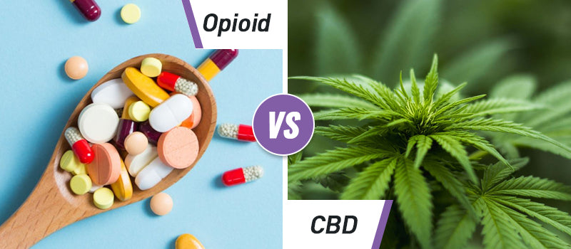 opioid vs cbd | cbd benefits