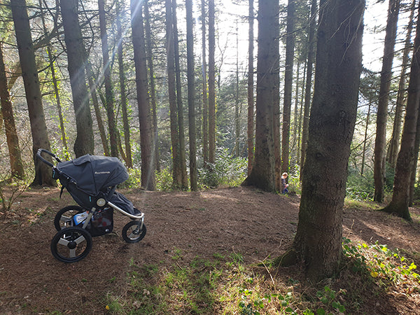 Bumbleride Speed Stroller Review UK