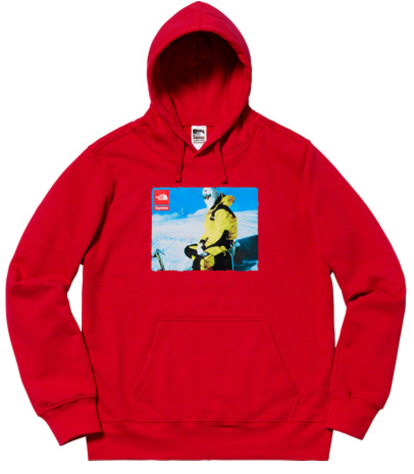 supreme the north face photo hooded