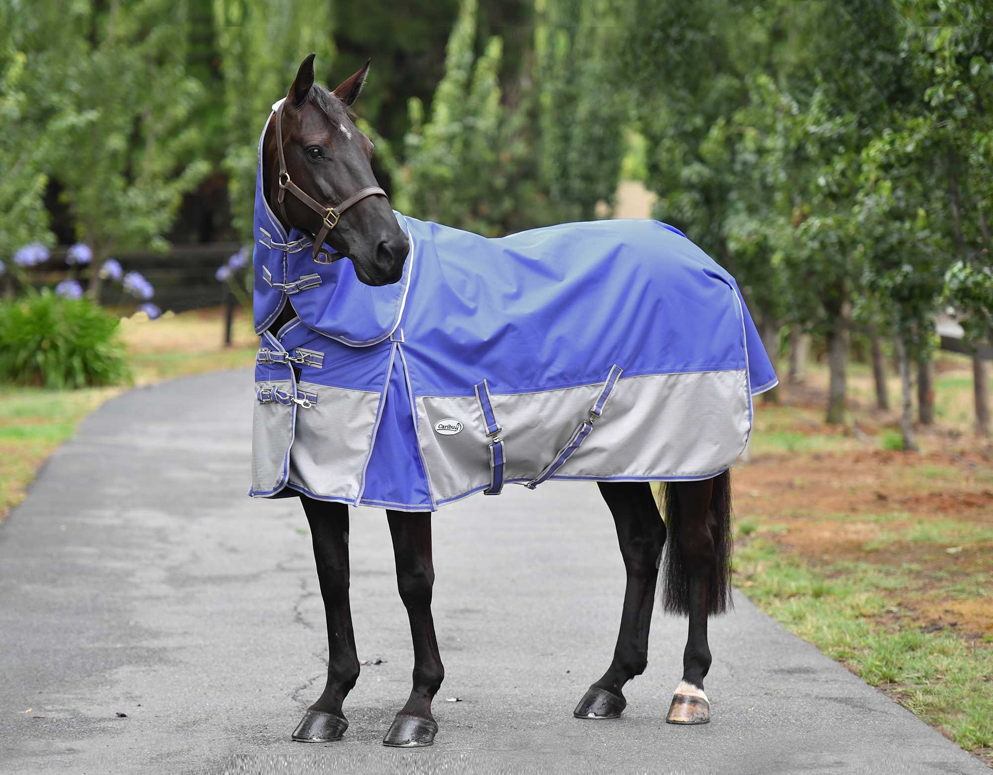 Alpine Winter 1200D 100g Detachable Neck Rug Caribu Horse Wear