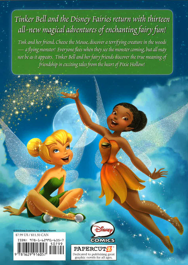 Disney Fairies Tinker Bell s Adventure