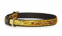 24k Gold Glam Dog Collar | Chloe Cole Pet Couture