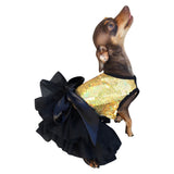 Fufu Tutu Gold Stardust Dog Dress|  Chloe Cole Pet Couture