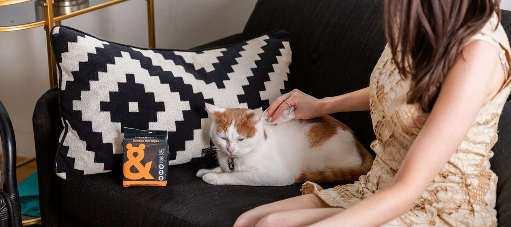 wipes safe for cats