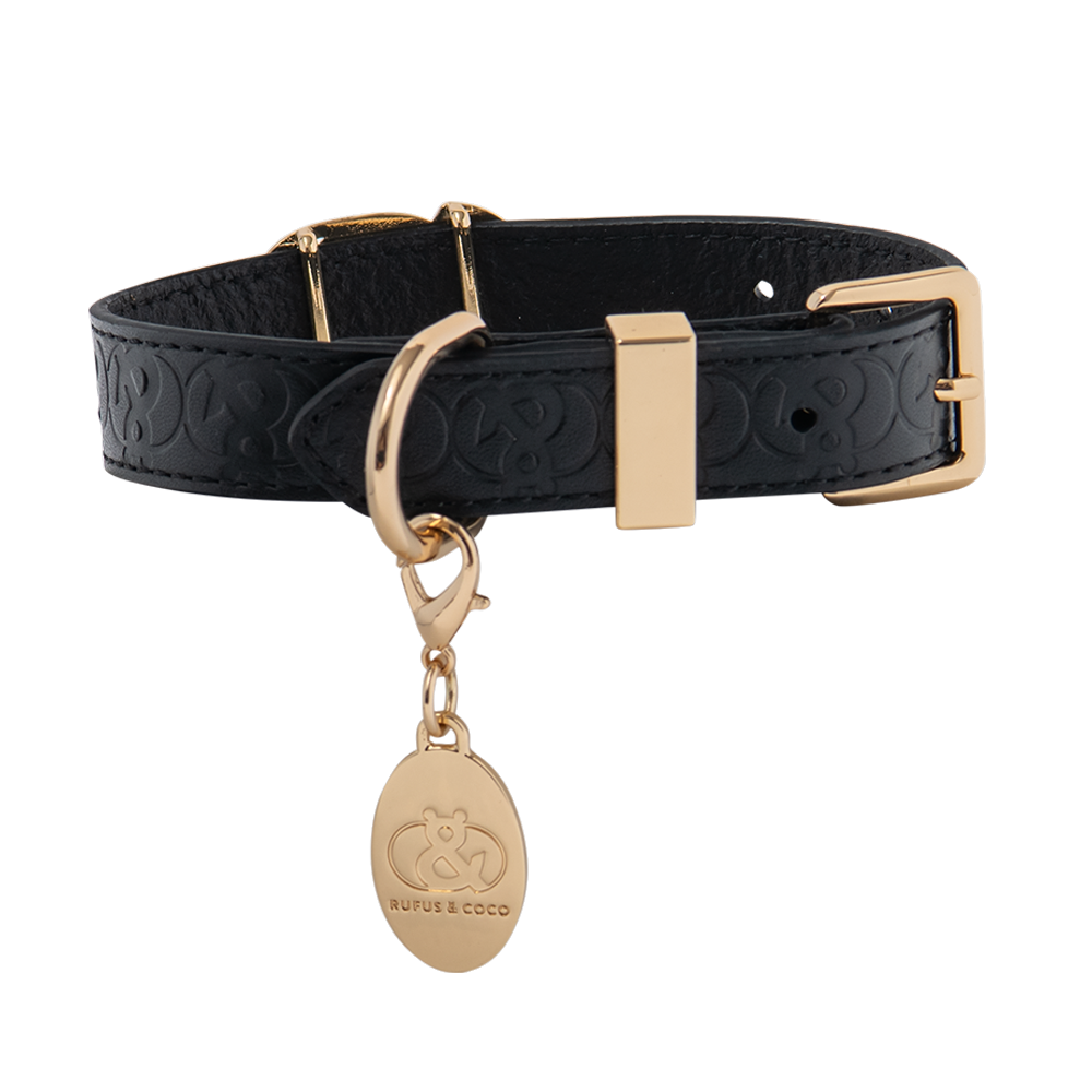 Balmain Leather Cat Collar - Rufus & Coco Australia