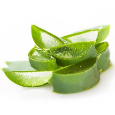 organic aloe vera in our body scrubs