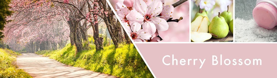 Cherry Blossom Fragrance