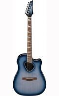 Ibanez Altstar Acoustic Guitars