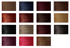 BIGEN SEMI-PERM COLOR WHEEL