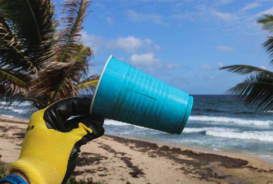 Plastic cups contaminating Coral Reefs