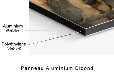 détails panneau aluminium Dibond