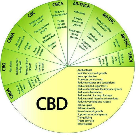 cbd vs full spectrum