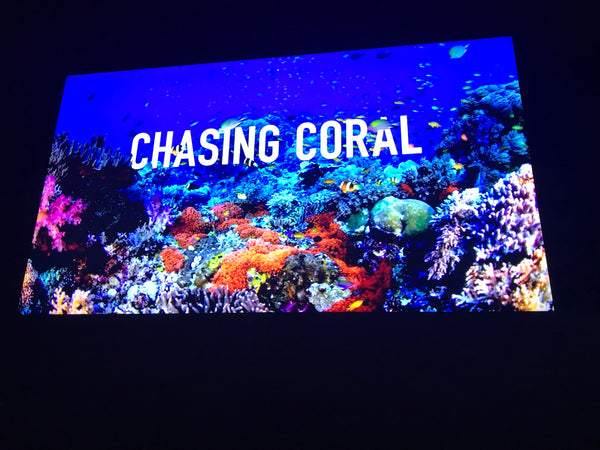 Chasing Coral Social