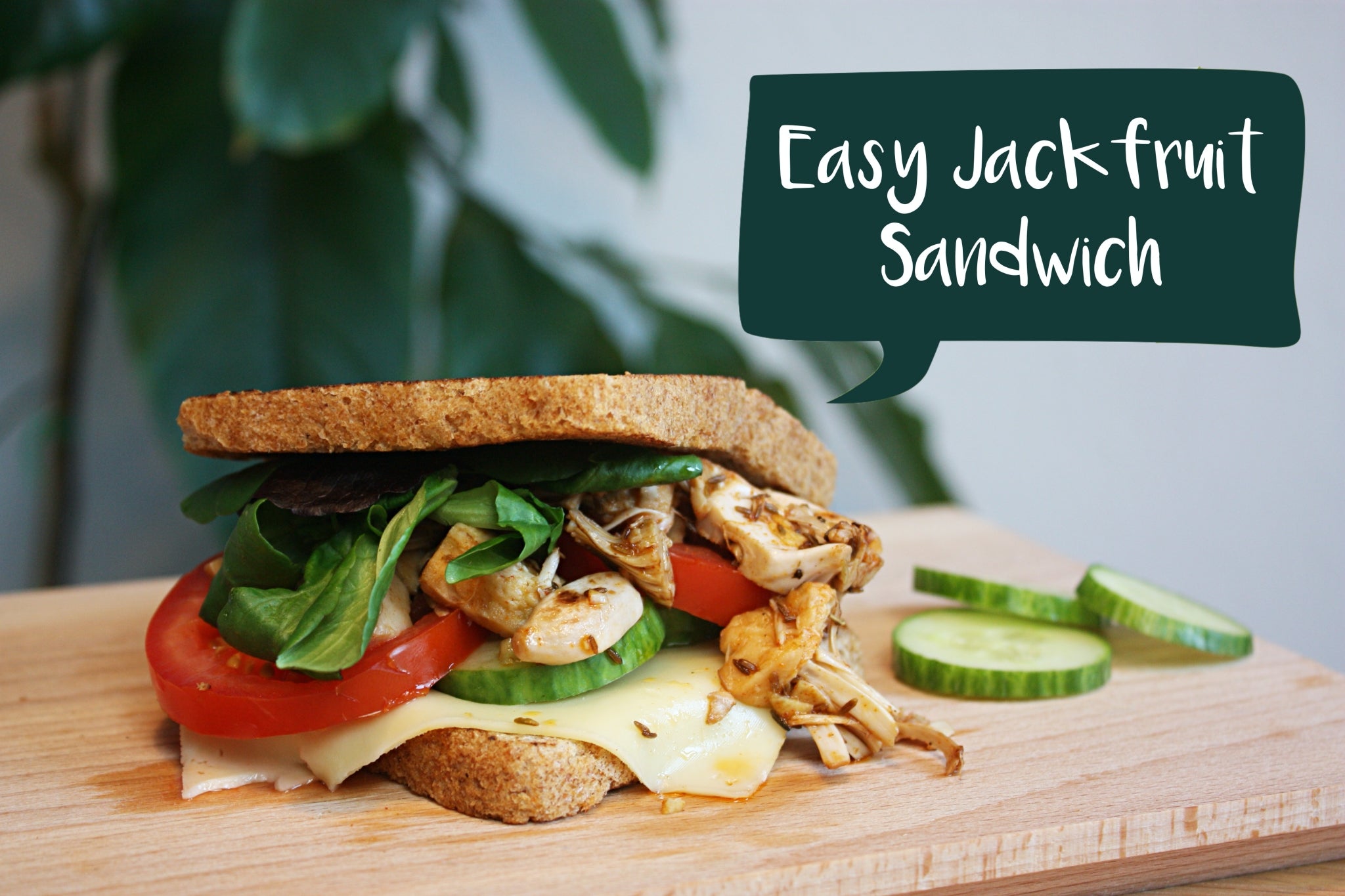 Easy Jackfruit Sandwich with JACKY F.