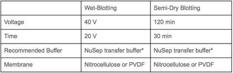 Western Blotting Protocol - compares semi-dry blotting and wet-blotting | NuSep