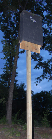 bat house on wood pole