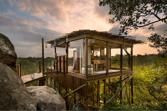Safari Journal / Blog by Safari Fusion | African treehouses | Stylish tree lodgings at Lion Sands Kingston Treehouse / South Africa