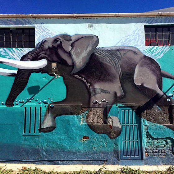 African street art | Elephant mural on the corner of Frere Street and Albert Road Woodstock, Cape Town South Africa
