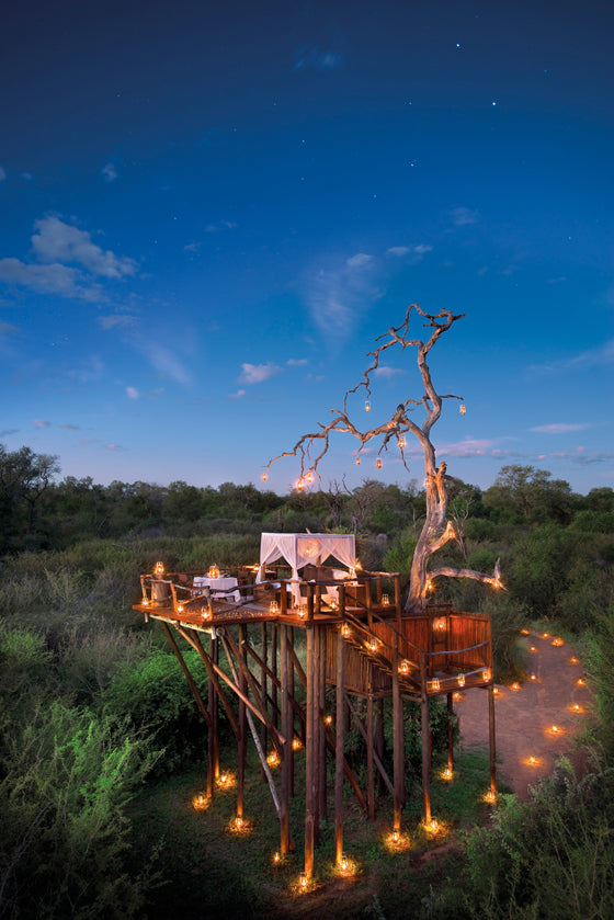Safari Journal / Blog by Safari Fusion | The ultimate Valentine's dinner | Dining under the bush stars in Lion Sands Game Reserve / South Africa
