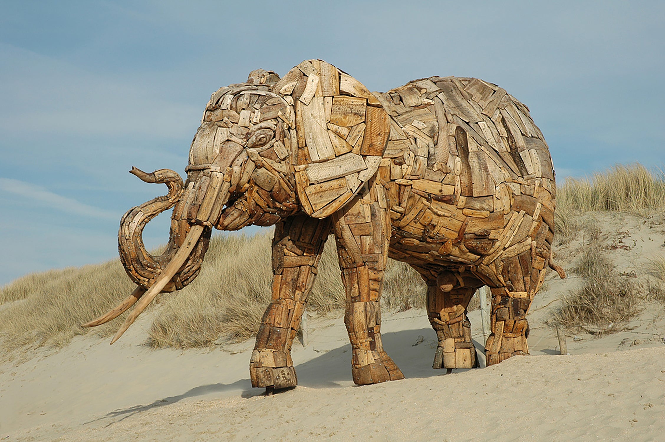 Safari Journal / Blog by Safari Fusion | Happy World Elephant Day | Driftwood sculpture by Andries Botha / South Africa