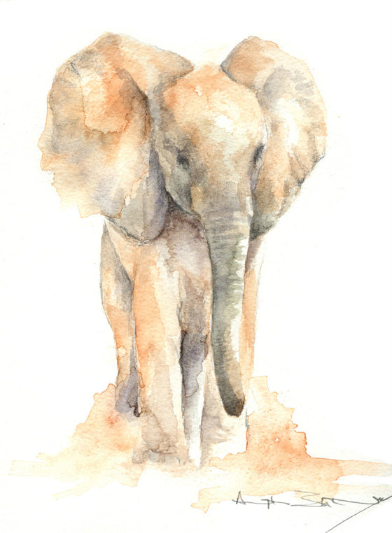 Safari Journal / Blog by Safari Fusion | Elephant watercolours by Angela Sheldrick | Beautiful original artworks from Kenya