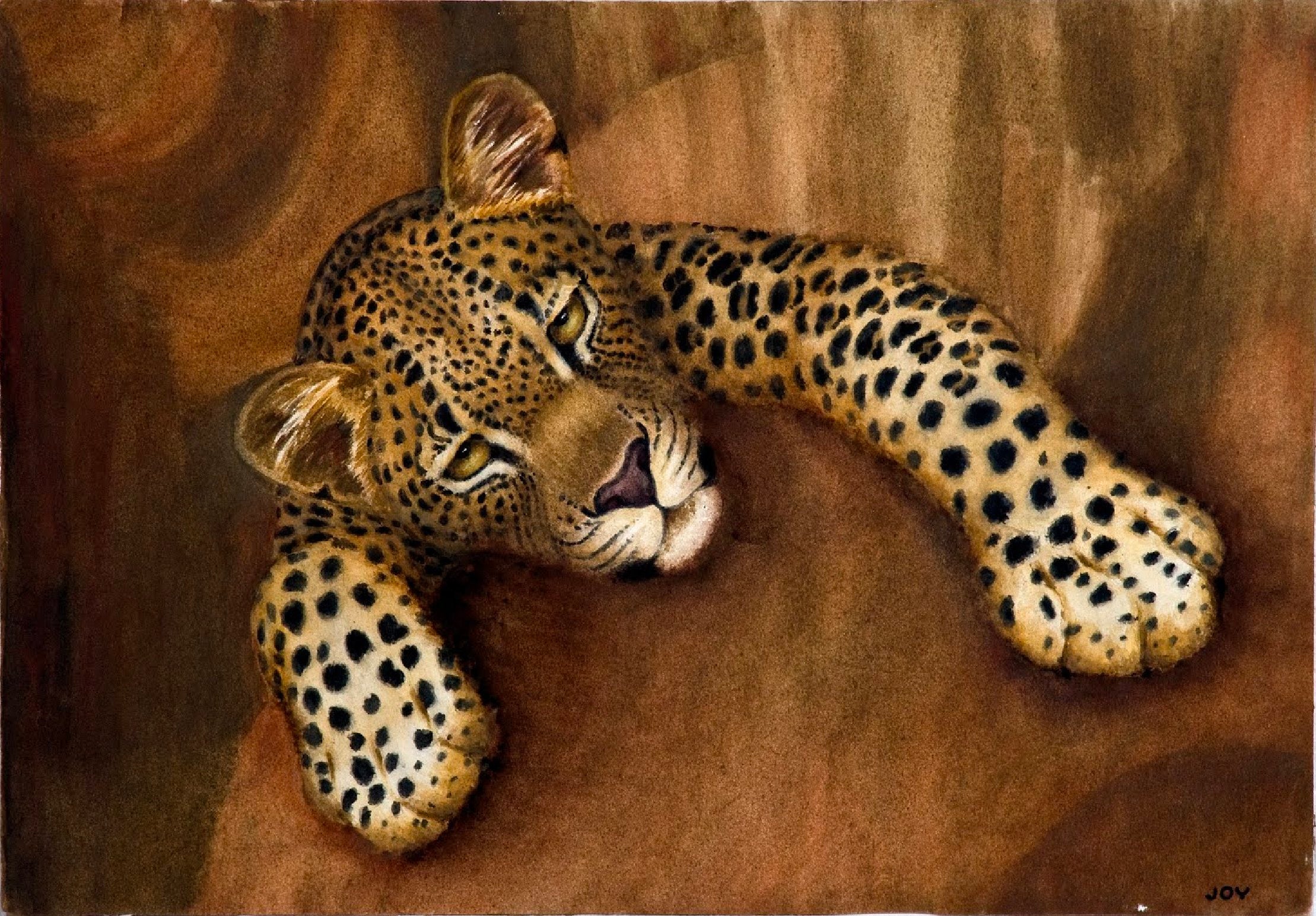 Safari Journal / Blog by Safari Fusion | Joy Adamson watercolours | Leopard, National Museums of Kenya