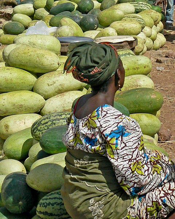 Safari Journal / Blog by Safari Fusion | Greenery | Selling melons at a market in Mali, West Africa